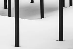 Posts in Snow, Jasper National Park, Alberta, Canada