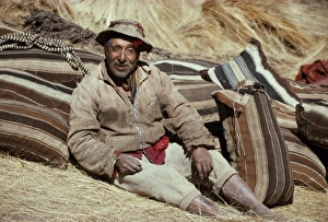 Sacred Valley Gallery: Potato harvesting in fields in the highlands