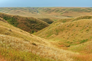Grassland Prints: Prairie landscape of rolling hills and coulees, Iron Springs, Alberta, Canada