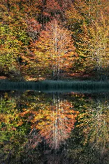 Cerreto Pass Prints: Pranda Lake, tuscan-emilian apennine national park