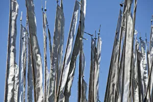 Images Dated 2nd February 2010: Prayer flags on poles on a hillside in Bumthang, Bhutan