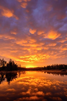 Natural Arch Prints: Pre-dawn reflections in a beaver pond in early spring, Greater Sudbury, Ontario, Canada