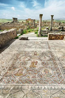 Craft Prints: Well preserved mosaic on flooring of the House of Dionysus