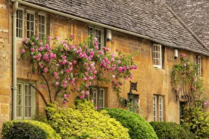 Gloucestershire Prints: Pretty cottage in the Cotswolds village of Stanton