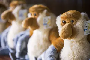 Arboreal Prints: Proboscus monkey dolls for sale in gift shop in Kota Kinabalu
