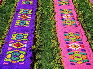 Sacatepequez Department Prints: Processional carpet on Good Friday, Antigua Guatemala, Sacatepequez Department, Guatemala