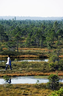 Protected Land of Bogs and Marshes, Kemeri National Park