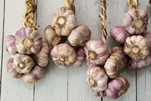 Provence, France. Garlic hanging in a shop in Sault in the south of France