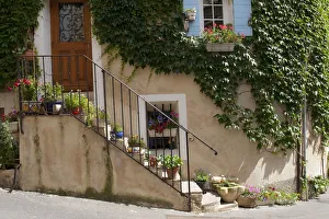 Decorate Prints: Provence, France. Ivy and flowers in front of a home in the South of France