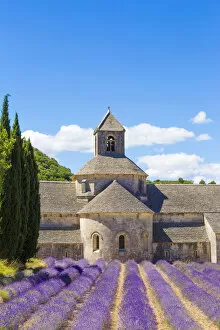 Images Dated 12th October 2017: Provence, France. Lavender field at Senanque Abbaye