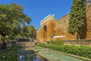 City Wall Prints: Puerta de Almodovar, Cordoba, Andalusia, Spain
