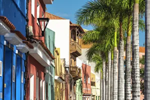 Images Dated 1st June 2023: Puerto de la Cruz. Tenerife, Canary Islands, Spain