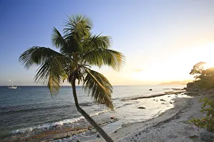 American Territory Prints: Puerto Rico, Vieques Island, Esperanza Bay