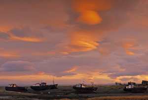 Punta Arenas Prints: Punta Arenas