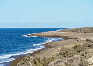 Argentinean Prints: Punta Norte, Valdes Peninsula, UNESCO World Heritage Site, Chubut Province, Patagonia