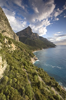 Coast Line Gallery: Punta Pedra Longa