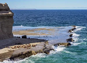 Punta Piramide, Valdes Peninsula, UNESCO World Heritage Site, Chubut Province, Patagonia