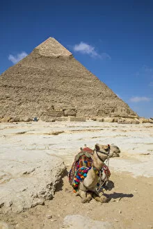 Giza Gallery: Pyramid of Khafre (Chephren), Pyramids of Giza, Giza, Cairo, Egypt