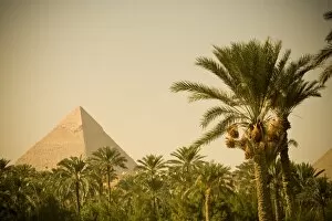 Giza Collection: Pyramids at Giza