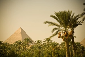 Pyramids Prints: Pyramids at Giza