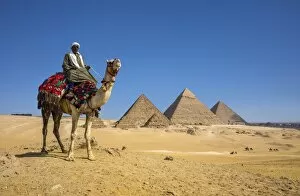 Images Dated 20th March 2017: Pyramids of Giza, Giza, Cairo, Egypt