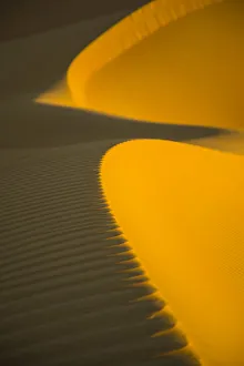 Images Dated 27th March 2018: Empty Quarter (Rub Al Khali), Abu Dhabi, United Arab Emirates