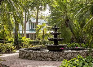 Greater Prints: Queen Elizabeth II Botanic Park, North Side, Grand Cayman, Cayman Islands
