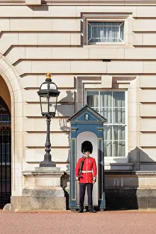 Soldier Prints: Queen's Guard at Buckingham Palace, City of Westminster, London, England