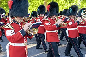 The Queens guards during Beating the Retreat. This is a military ceremony dating back to the 17th-century. Westminster, London, England, Uk