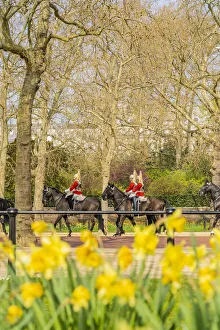 Tradirional Prints: Queens horseguards during Changing of the guards, London, England, Uk