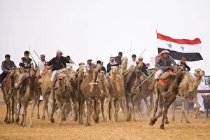 A race-winning camel in the paddock at Palmyra as storm clouds gather