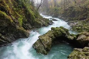 Vintgar Gorge Prints: Radovna River floweing through the Vintgar Gorge in Autumn, near Bled, Slovenia