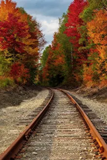 Tracks Prints: Railroad tracks with fall foliage, Jefferson, New Hampshire, USA