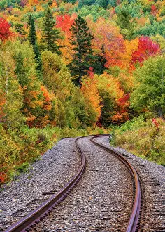 Tracks Prints: Railway Tracks in Autumn, Northeast Kingdom, Vermont, USA