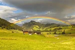Tracks Prints: Rainbow on Alpe di Siusi / Seiser Alm, South Tyrol, Bolzano province, Trentino Alto Adige