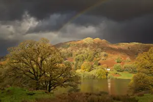 Lake District Prints: Rainbow over Loughrigg Fell in Autumn, Lake District National Park, Cumbria, England