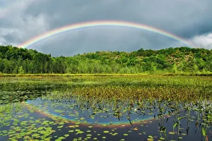 Fine Art Photography Prints: Rainbow over wetland on Horseshoe Lake near Parry Sound, Ontario, Canada
