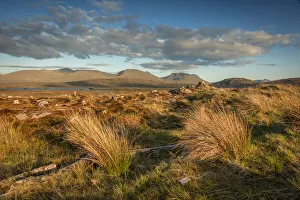 Rannoch Moor in the evening light, Highlands, Scotland, Great Britain