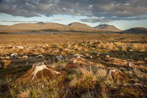 Rannoch Moor in the evening light, Highlands, Scotland, Great Britain