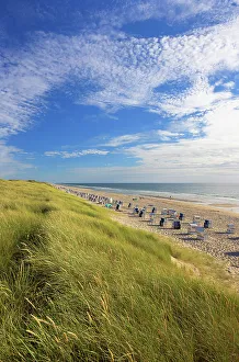 Deckchairs Prints: Rantum beach, Sylt, Schleswig Holstein, Germany