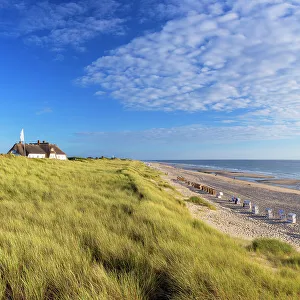 Deckchairs Prints: Rantum beach, Sylt, Schleswig Holstein, Germany