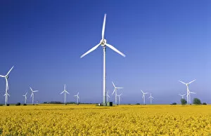 Images Dated 18th March 2011: Rape field and wind turbines, Fehmarn Island, Schleswig-Holstein, Germany