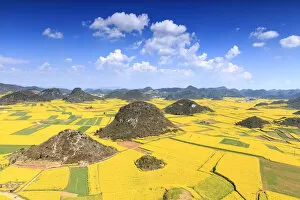 Images Dated 2nd March 2017: Rapeseed flowers of Luoping in Yunnan China