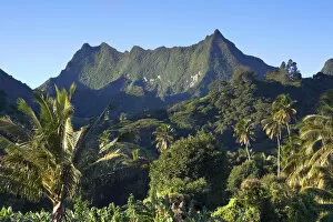 Images Dated 30th March 2011: Rarotonga, Cook Islands, South Pacific