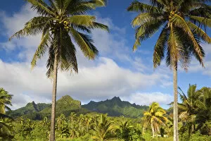 Images Dated 30th March 2011: Rarotonga, Cook Islands, South Pacific