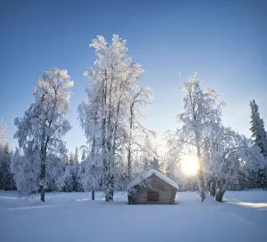 Rays of light from the snowy forest, Norrbotten County, Lapland, Sweden, Europe