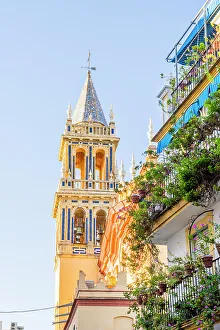 Plants Prints: Real Parroquia de Senora Santa Ana, , Seville, Andalusia, Spain