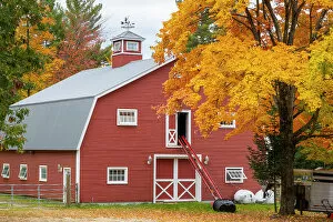 Farming Gallery: Red barn in fall, Maine, New England, USA