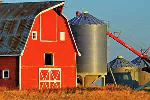 Barns Prints: Red barn, grain bins and auger at sunrise near Moose Jaw, Saskatchewan, Canada