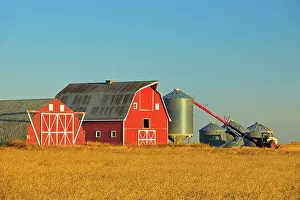 Barn Prints: Red barn, grain bins and auger at sunrise near Moose Jaw Saskatchewan, Canada